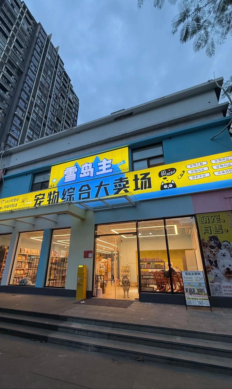 探寻现代家居生活用品的魅力与发展趋势